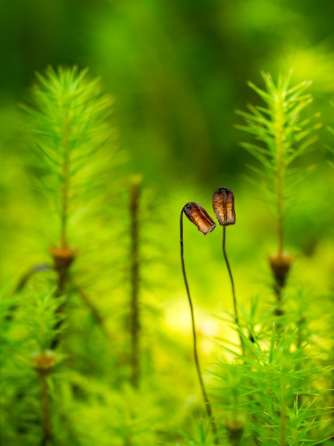 Kristen_SmithSeptember 09, 2015P1120833