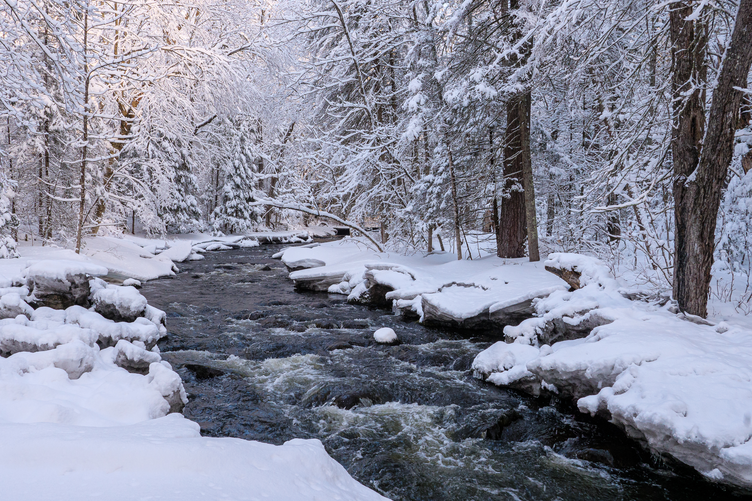 林祐介　KARHU & Picturesque Winter Landscape Landscape –