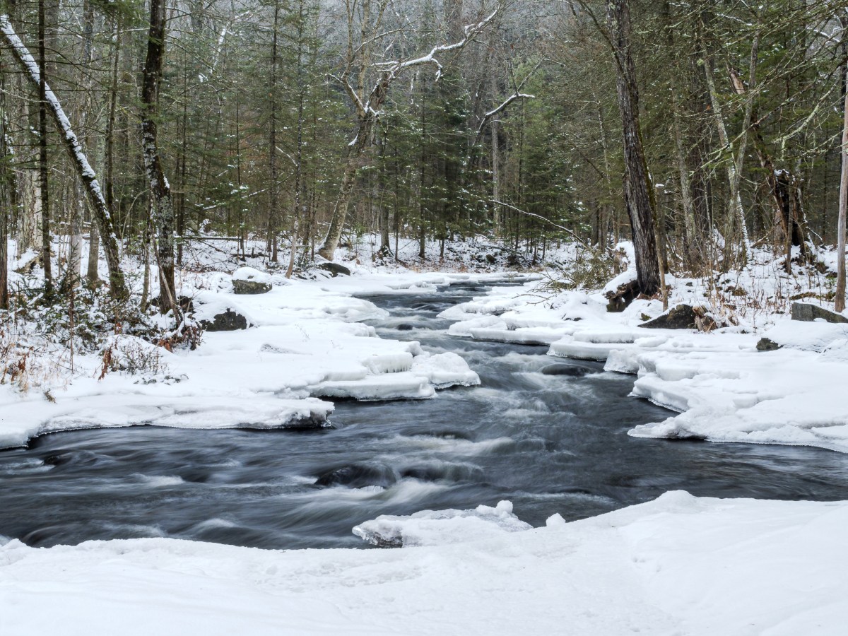 Indifference/Ambivalence