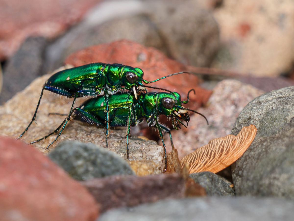 Does this bug&nbsp;you?