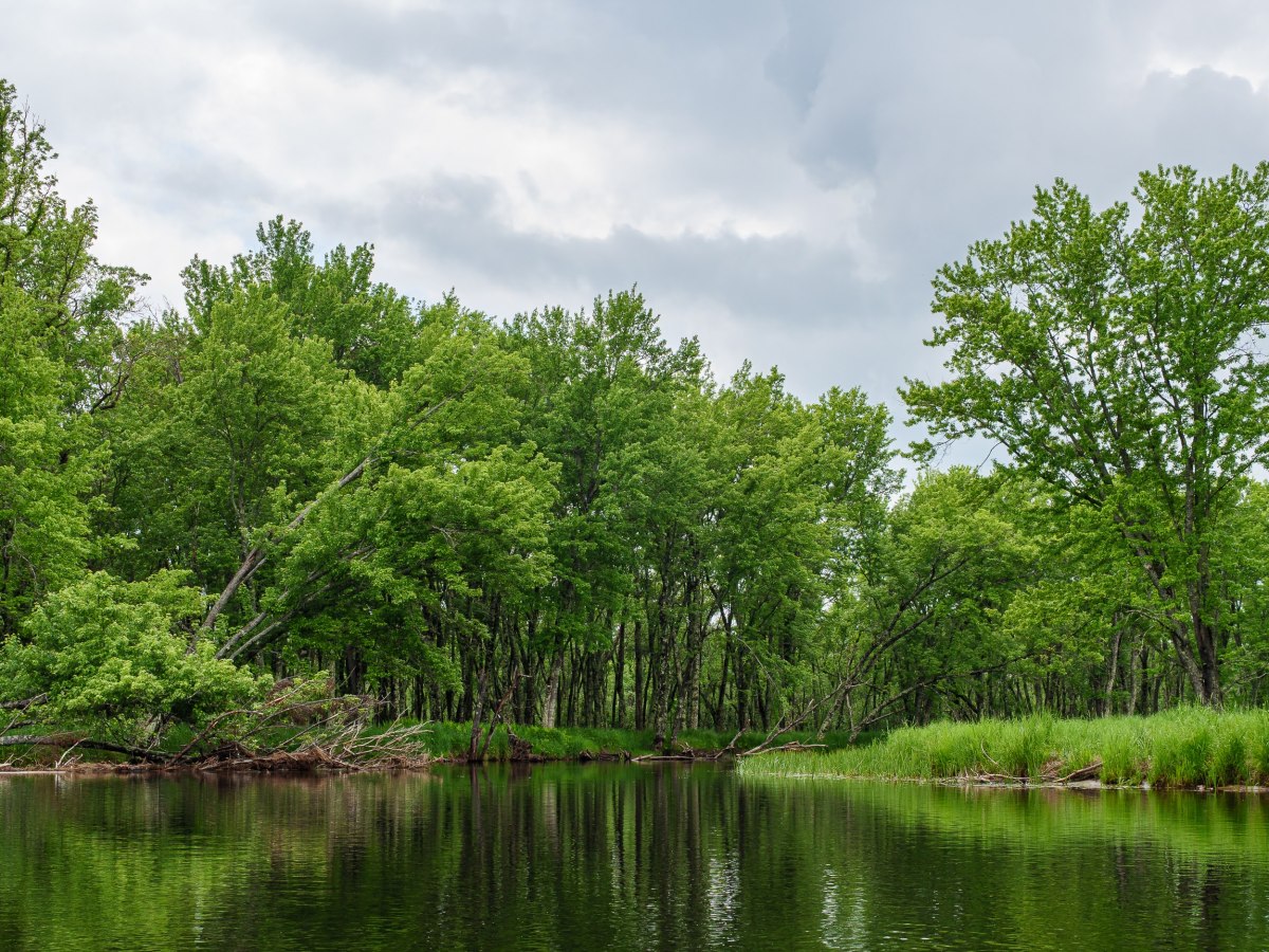 Rhinelander Flowage – about&nbsp;time
